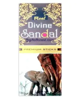 Real Divine Sandal Incense Agarbatti 630 gm Sticks